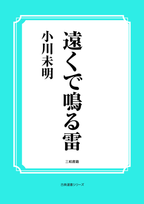 遠くで鳴る雷 の画像
