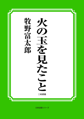 火の玉を見たこと の画像