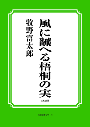 風に飜へる梧桐の実 の画像